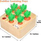 Jeu Montessori Récolte de Carottes & Trieur de Formes en Bois