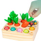 Jeu Montessori Récolte de Carottes & Trieur de Formes en Bois
