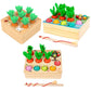 Jeu Montessori Récolte de Carottes & Trieur de Formes en Bois