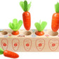Jeu Montessori Récolte de Carottes & Trieur de Formes en Bois