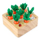Jeu Montessori Récolte de Carottes & Trieur de Formes en Bois
